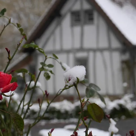 Bed & Breakfast Domaine Du Vertbois *