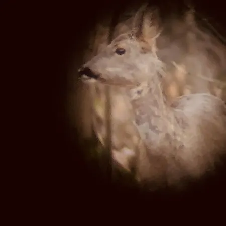 Domaine Du Vertbois Отель типа 