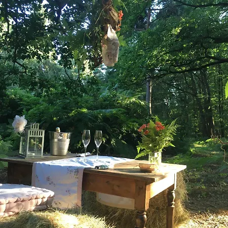 Domaine Du Vertbois לינה וארוחת בוקר